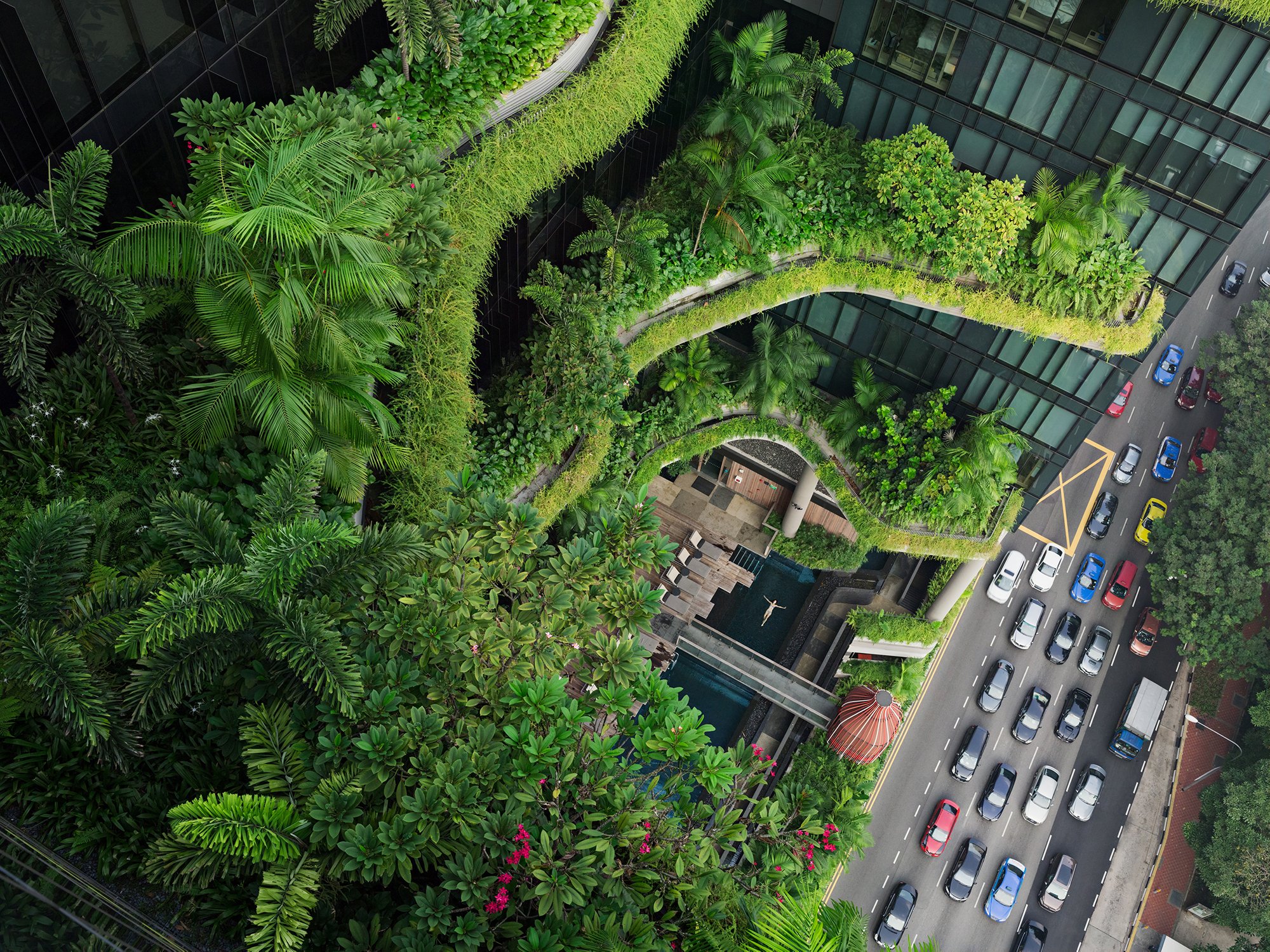 A square shaft of space surrounded on three sides by floor to ceiling windows and curving terraces bursting with tropical plants. At the bottom there is a person floating in a swimming pool that is one story above a five-lane street full of modern cars.